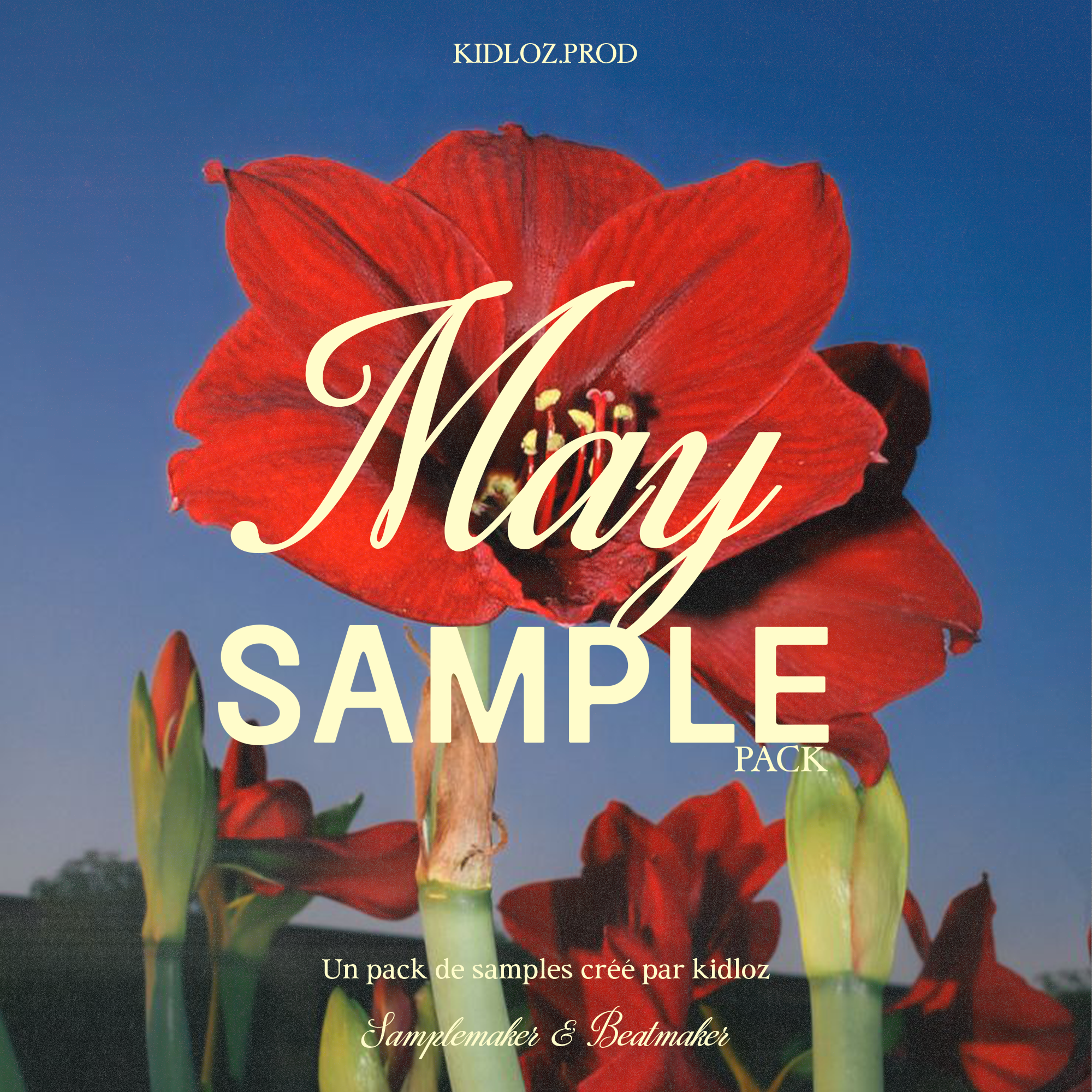 MAY 2026 (Sample Pack)