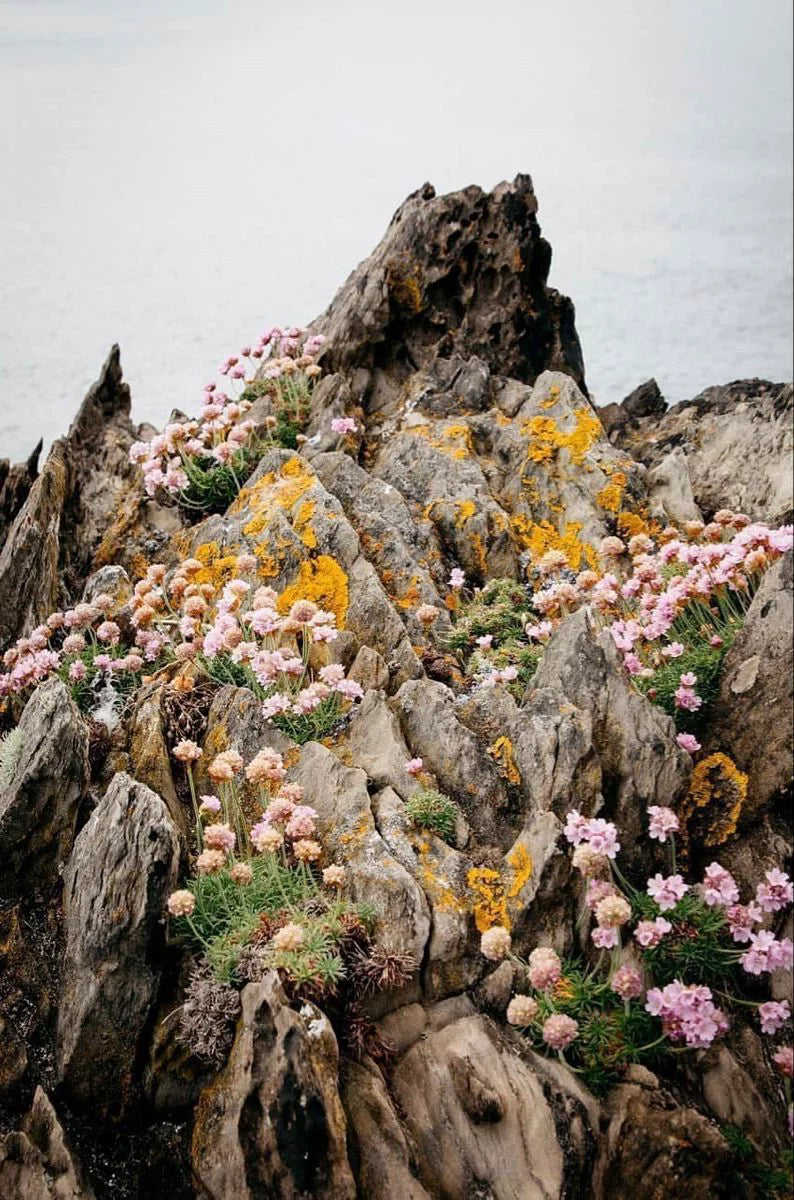 Septembre