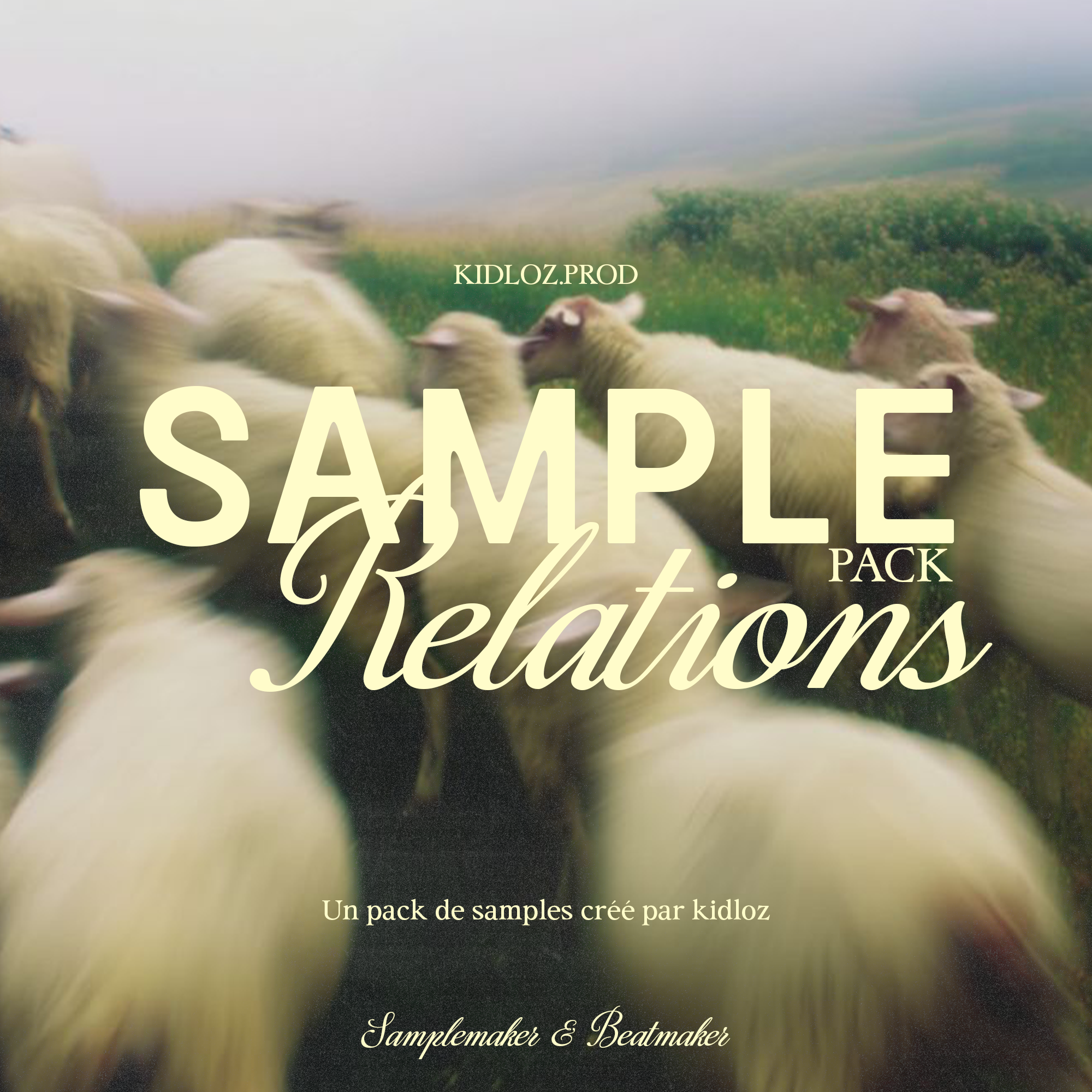RELATIONS (Sample Pack)